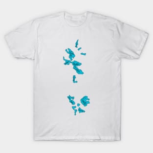 Three Sisters Glaciers Named T-Shirt